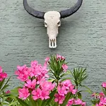 Jules&jim Gaestehaus * Linec