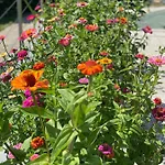 Jules&jim Gaestehaus * Linec