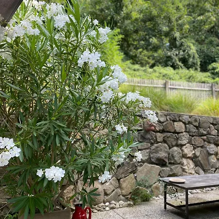 Jules&jim Gaestehaus Lägenhet Linz