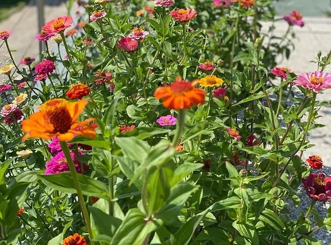 Jules&jim Gaestehaus * Linz