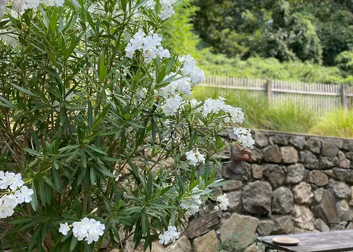 Jules&jim Gaestehaus Daire Linz